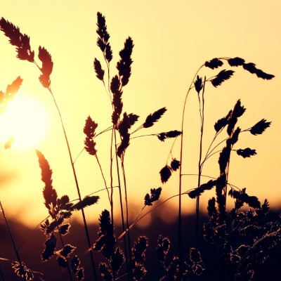 1920 x 1080 HD Wallpapers 2085